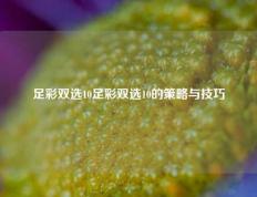 足彩双选10足彩双选10的策略与技巧