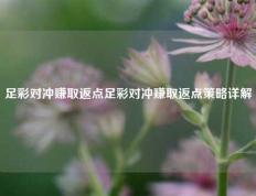 足彩对冲赚取返点足彩对冲赚取返点策略详解