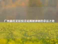 广州最旺足彩投注站揭秘神秘的幸运之地