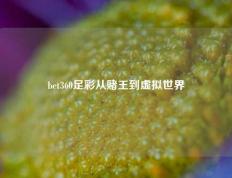 bet360足彩从赌王到虚拟世界
