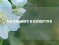 足彩月野兔博客月野兔的智慧与策略