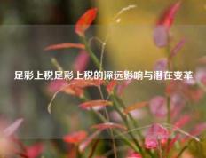 足彩上税足彩上税的深远影响与潜在变革