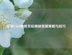 足彩17069期胜负彩揭秘竞猜策略与技巧