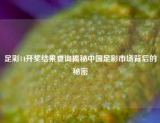足彩14开奖结果查询揭秘中国足彩市场背后的秘密