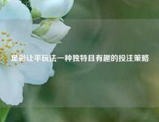足彩让平玩法一种独特且有趣的投注策略