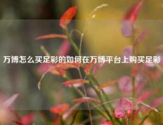 万博怎么买足彩的如何在万博平台上购买足彩