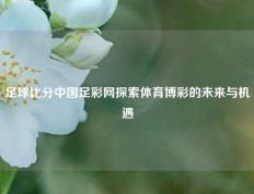 足球比分中国足彩网探索体育博彩的未来与机遇
