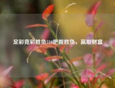 足彩竞彩胜负310把握胜负，赢取财富