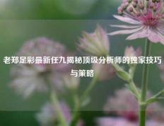 老郑足彩最新任九揭秘顶级分析师的独家技巧与策略
