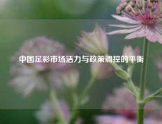 中国足彩市场活力与政策调控的平衡