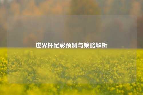 世界杯足彩预测与策略解析
