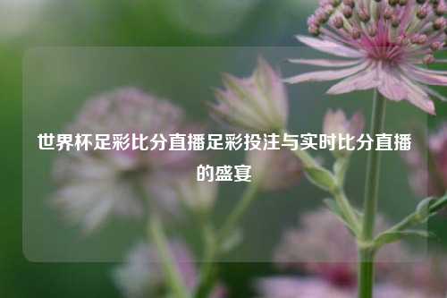 世界杯足彩比分直播足彩投注与实时比分直播的盛宴
