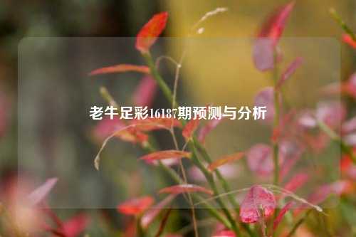 老牛足彩16187期预测与分析