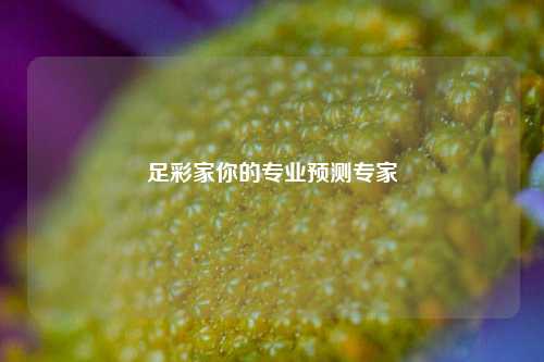 足彩家你的专业预测专家