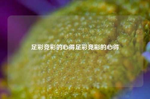 足彩竞彩的心得足彩竞彩的心得