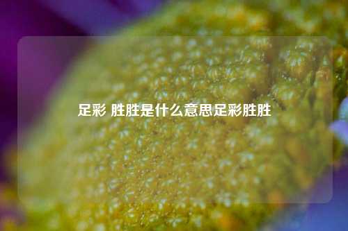 足彩 胜胜是什么意思足彩胜胜