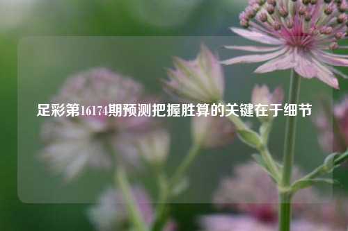 足彩第16174期预测把握胜算的关键在于细节
