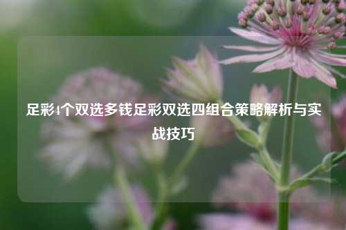 足彩4个双选多钱足彩双选四组合策略解析与实战技巧