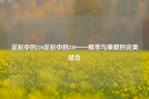 足彩中的310足彩中的310——概率与策略的完美结合
