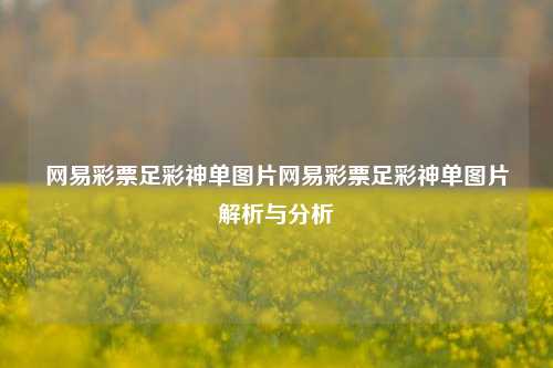 网易彩票足彩神单图片网易彩票足彩神单图片解析与分析