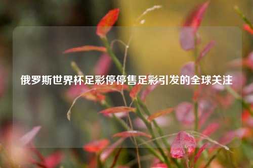 俄罗斯世界杯足彩停停售足彩引发的全球关注