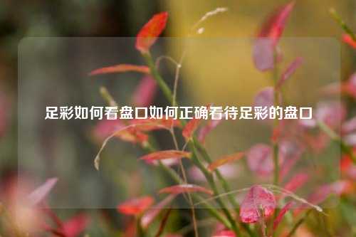 足彩如何看盘口如何正确看待足彩的盘口