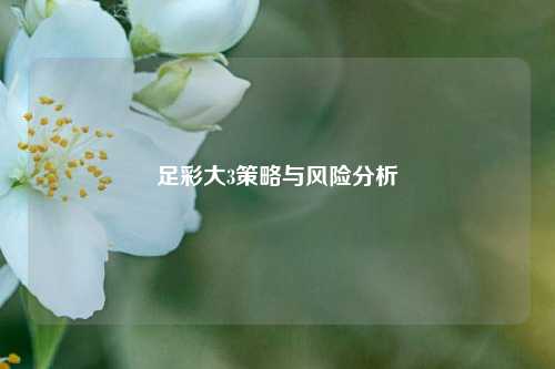 足彩大3策略与风险分析