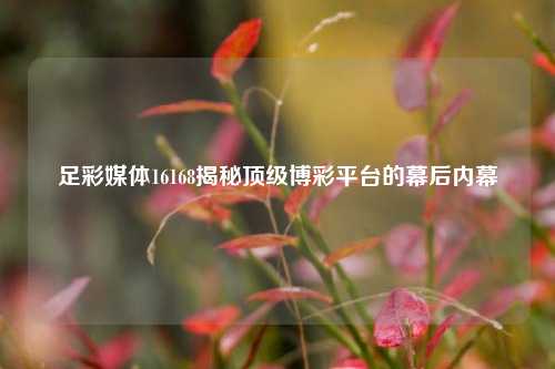 足彩媒体16168揭秘顶级博彩平台的幕后内幕