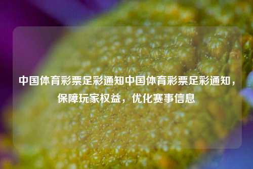 中国体育彩票足彩通知中国体育彩票足彩通知，保障玩家权益，优化赛事信息