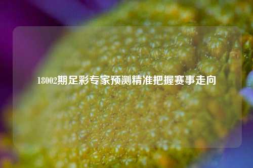 18002期足彩专家预测精准把握赛事走向