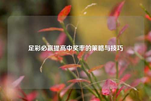 足彩必赢提高中奖率的策略与技巧