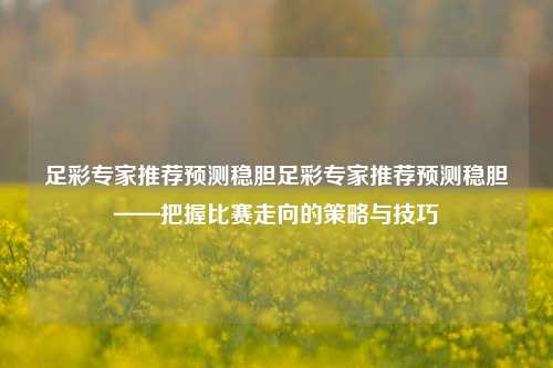 足彩专家推荐预测稳胆足彩专家推荐预测稳胆——把握比赛走向的策略与技巧