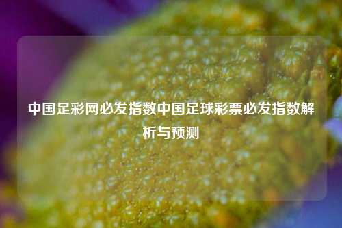 中国足彩网必发指数中国足球彩票必发指数解析与预测
