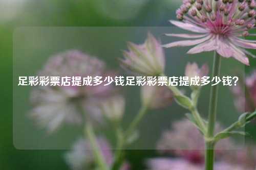 足彩彩票店提成多少钱足彩彩票店提成多少钱？
