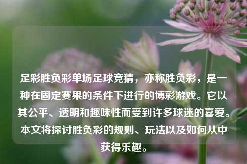 足彩胜负彩单场足球竞猜，亦称胜负彩，是一种在固定赛果的条件下进行的博彩游戏。它以其公平、透明和趣味性而受到许多球迷的喜爱。本文将探讨胜负彩的规则、玩法以及如何从中获得乐趣。