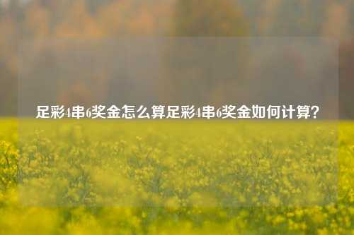 足彩4串6奖金怎么算足彩4串6奖金如何计算？