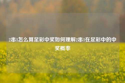2串1怎么算足彩中奖如何理解2串1在足彩中的中奖概率