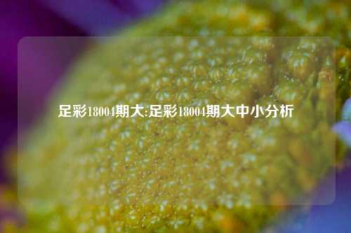 足彩18004期大:足彩18004期大中小分析