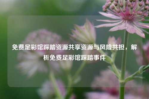 免费足彩馆踩踏资源共享资源与风险共担，解析免费足彩馆踩踏事件
