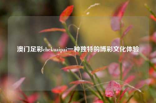 澳门足彩chekuaipai一种独特的博彩文化体验