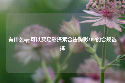 有什么app可以买足彩探索合法购彩APP的合规选择