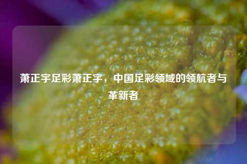 萧正宇足彩萧正宇，中国足彩领域的领航者与革新者