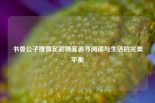 书香公子搜狐足彩博客追寻阅读与生活的完美平衡