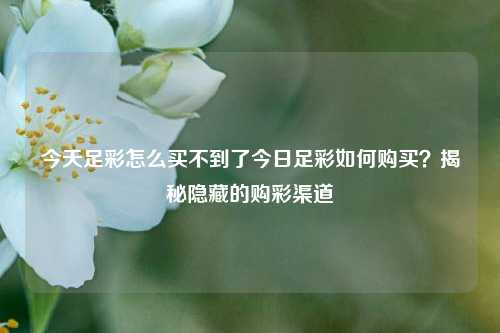 今天足彩怎么买不到了今日足彩如何购买？揭秘隐藏的购彩渠道