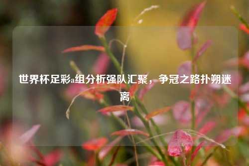 世界杯足彩a组分析强队汇聚，争冠之路扑朔迷离