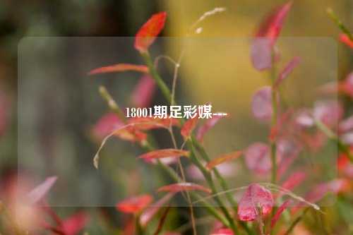 18001期足彩媒---