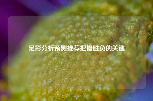 足彩分析预测推荐把握胜负的关键