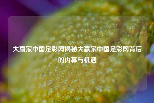大赢家中国足彩网揭秘大赢家中国足彩网背后的内幕与机遇
