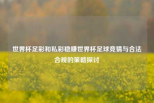世界杯足彩和私彩稳赚世界杯足球竞猜与合法合规的策略探讨