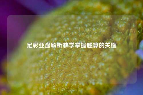 足彩亚盘解析教学掌握胜算的关键